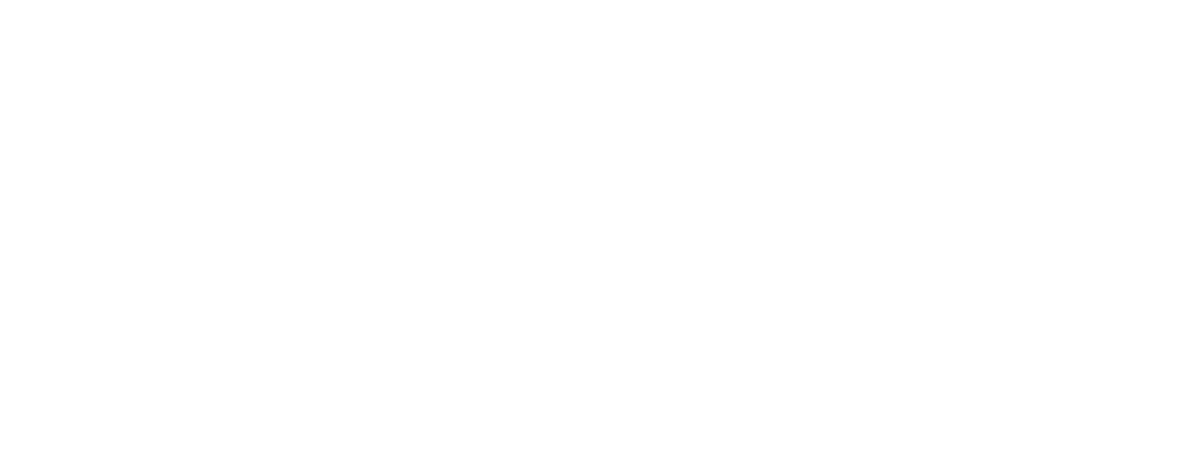 A experience wentworth  logo.
